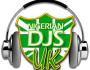 Nigeria’s finest UK DJs industry party&nbsp;2012